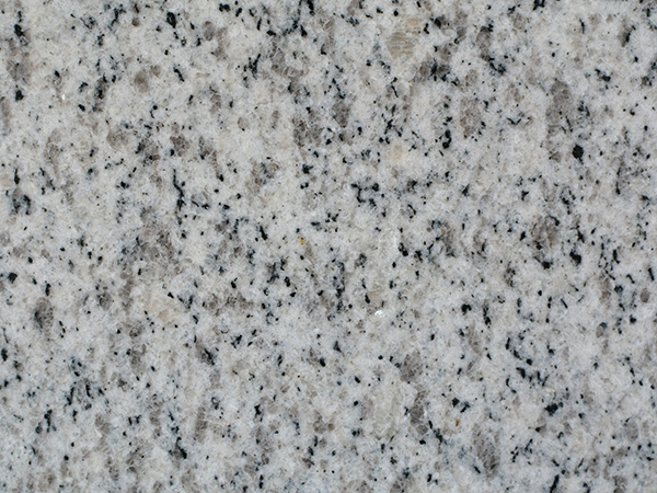 1740634421116223.jpg